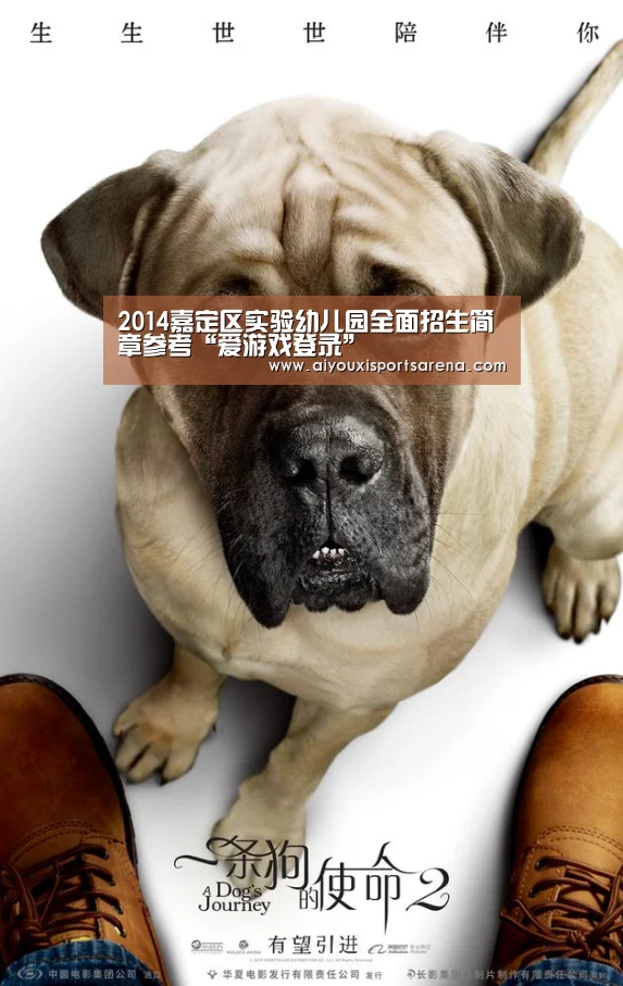 2014嘉定区实验幼儿园全面招生简章参考“爱游戏登录”(图1) 爱游戏体育