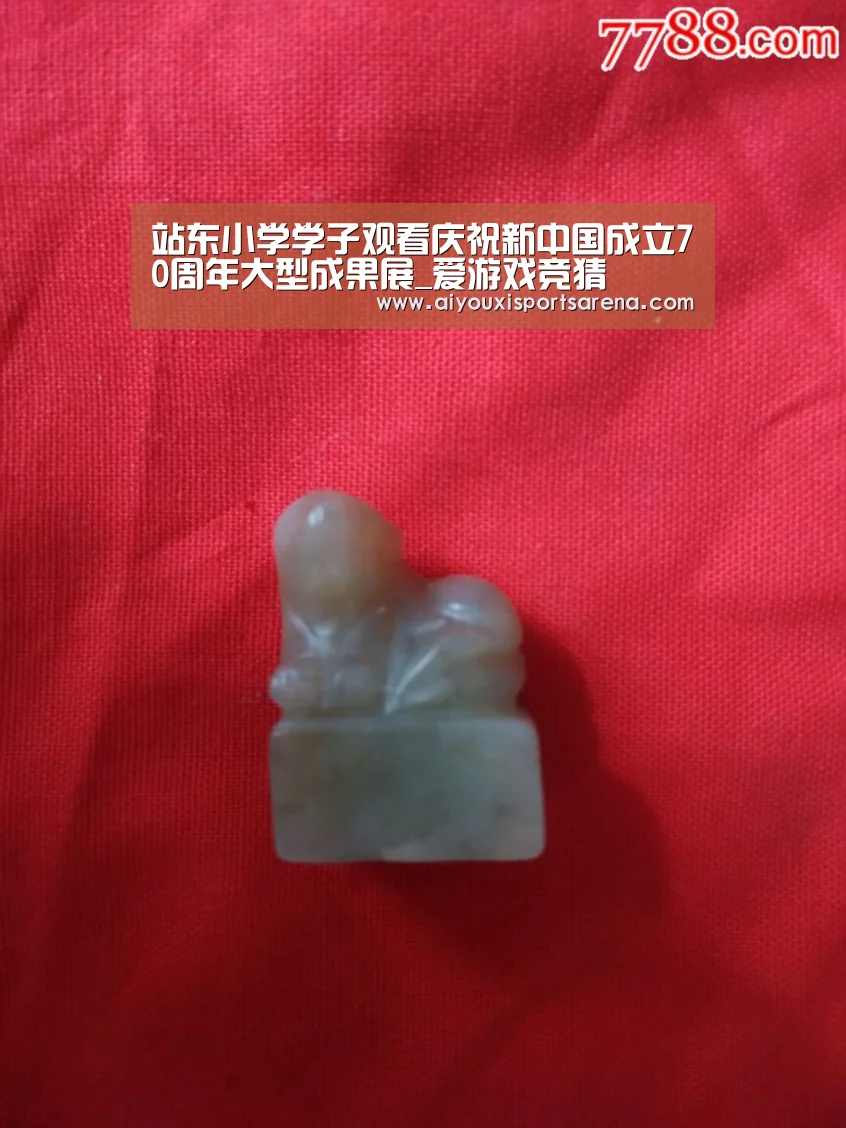站东小学学子观看庆祝新中国成立70周年大型成果展_爱游戏竞猜(图1) 爱游戏体育