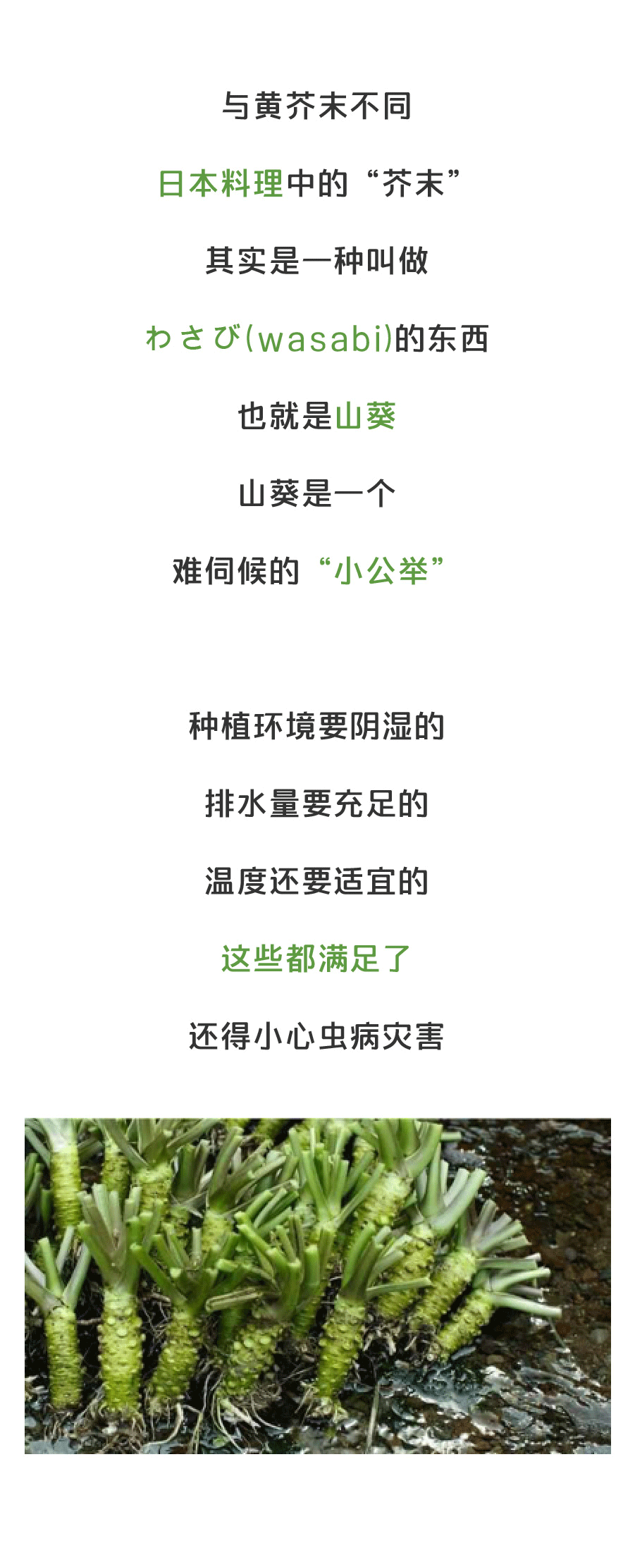 爱游戏登录-浅谈关于批评的那点事儿(图3) 爱游戏直播