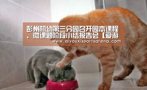 爱游戏登录