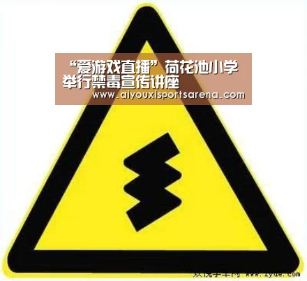 爱游戏登录