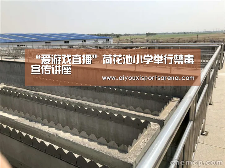 爱游戏直播