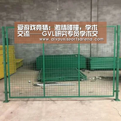 爱游戏竞猜:激情碰撞,学术交流——GVL研究专员学术交流会成功举办(图2) 爱游戏体育