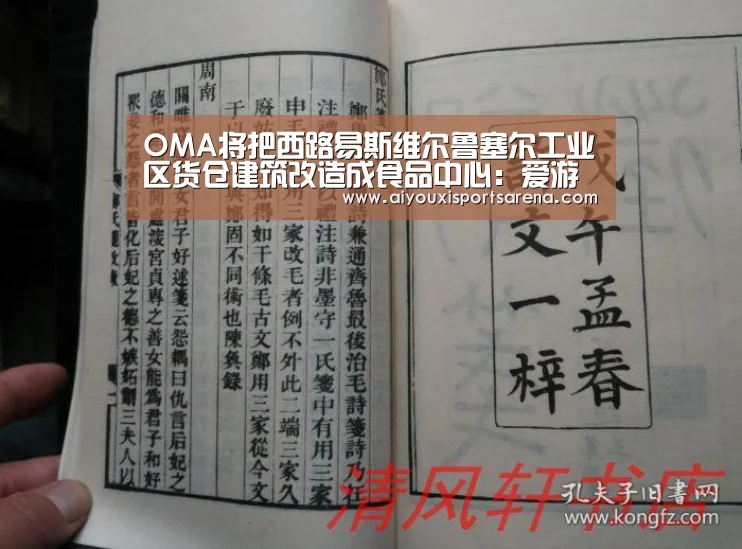 爱游戏登录