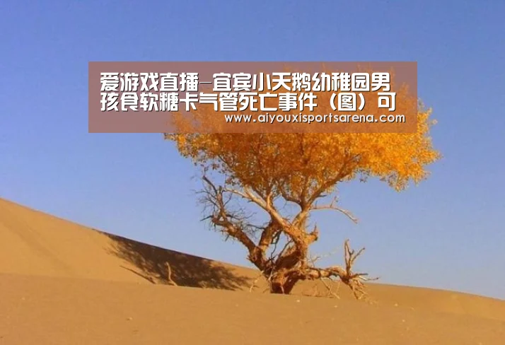 爱游戏体育