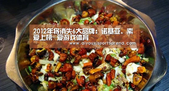 2012年将消失6大品牌:诺基亚、索爱上榜-爱游戏体育(图4) 爱游戏体育