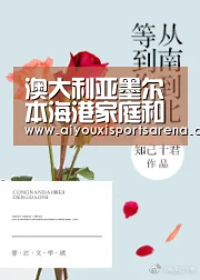 爱游戏直播