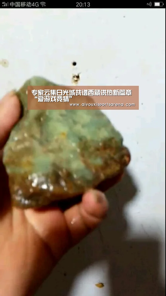 专家云集日光城共谱西藏供热新篇章“爱游戏竞猜”(图1) 爱游戏竞猜