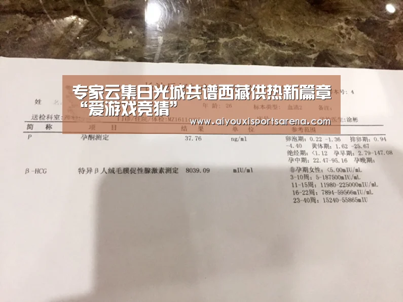 专家云集日光城共谱西藏供热新篇章“爱游戏竞猜”(图3) 爱游戏体育